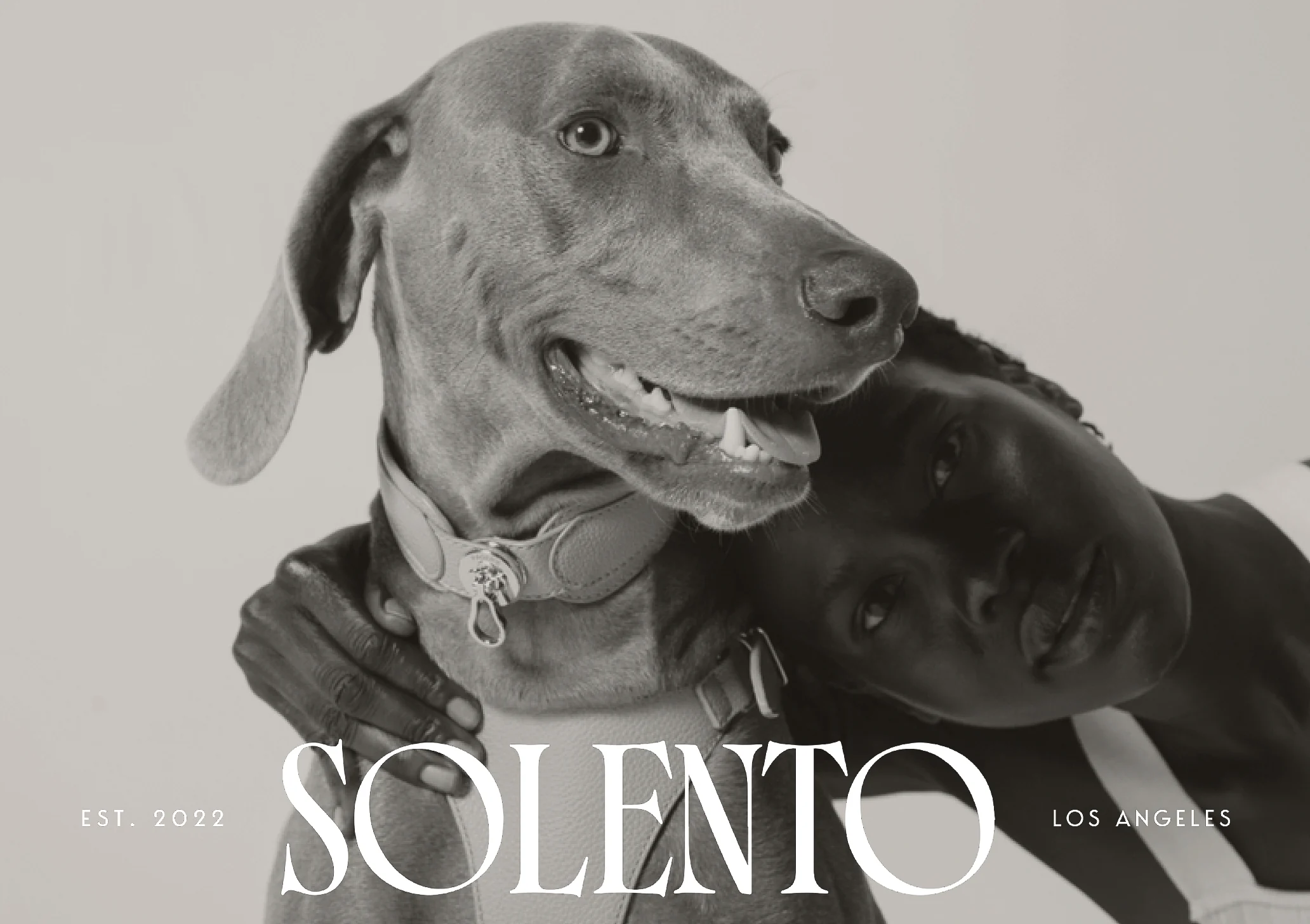 Black-and-white portrait of a smiling Weimaraner in a leather collar beside a woman, with Solento wordmark, for Solento.
