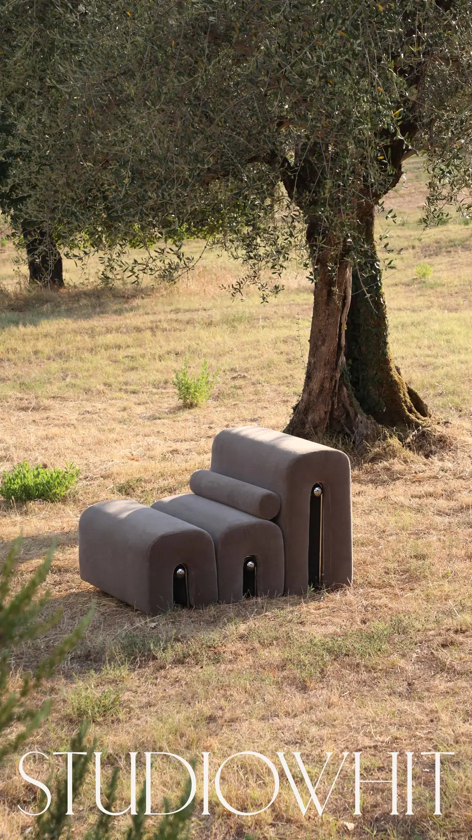 Grey upholstered modular lounge chair in a dry grass field beneath an olive tree, with the Studiowhit wordmark, for Studio Whit.